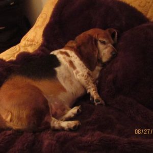 Meet your Posher, Gerry